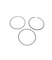 PISTON RING 590260000001