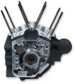 CRANKCASE BLK 4.125BR 06-