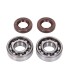 CRANKSHAFT BEARING SET