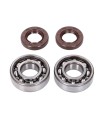 CRANKSHAFT BEARING SET