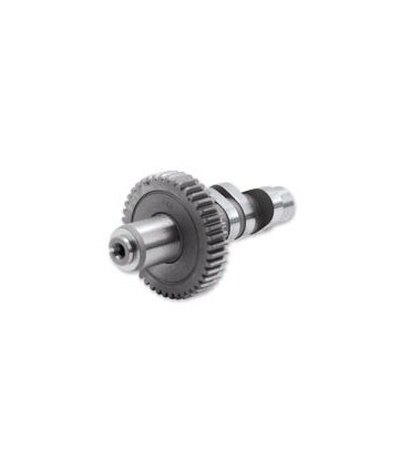 CAMSHAFT GEAR 513 ALTERNA