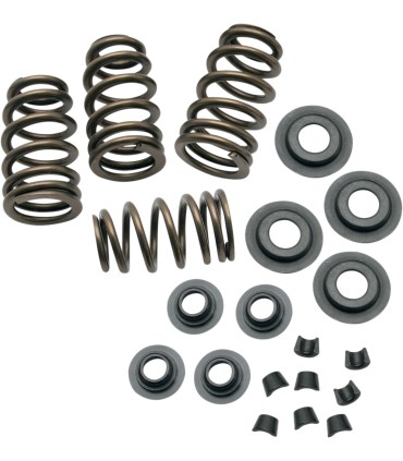 SPRING KIT .650 84-04