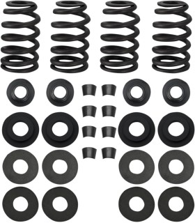 SPRINGS .585 99-04TC