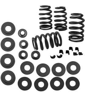 SPRING KIT VALVE .585