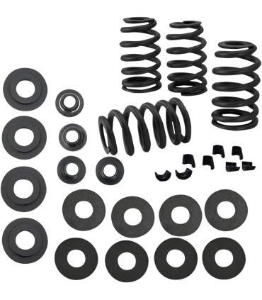 SPRING KIT VALVE .585