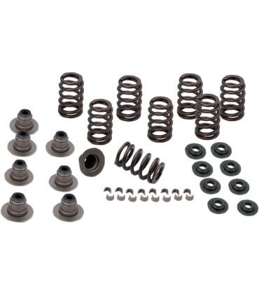 SPRING KIT.605 M8 17-19