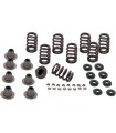 SPRING KIT.605 M8 17-19