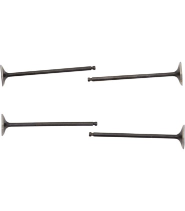 CYLINDER HEAD VALVES