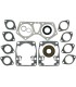 COMPLTE GASKET SET ARCTIC
