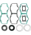 COMPLETE GASKET SET SKI-D