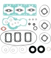 COMPLETE GASKET SET SKI-D