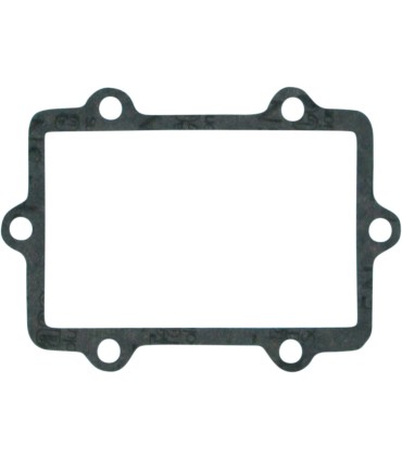 GASKET REED CAGE SKI DOO