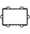 GASKET REED CAGE SKI DOO