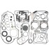 GASKET KIT 1200 EVO .040