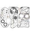 GASKET KIT 1200 EVO .040