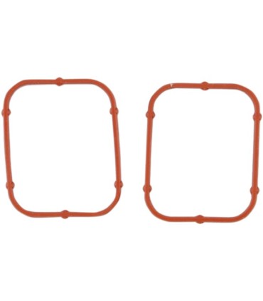 GASKET INNER ROCKER 2PK