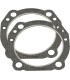 GASKETS HD 4 EVO .043