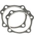 GASKETS HD 4-1/8 SSW