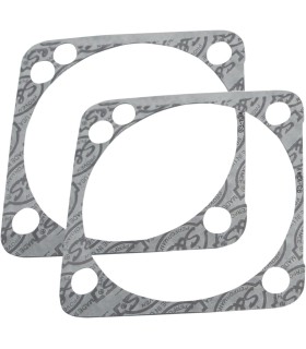 GASKETS BS 4.125 SSW