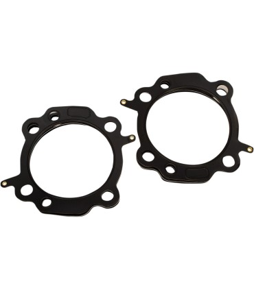 GASKETS HD 3.94 TC