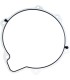 GASKET PRIMARY 25700455