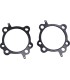 GASKET HEAD 4 .045 STL