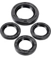 ENGINE OIL SEAL SET GY6