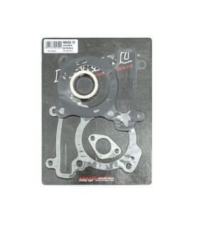 CYLINDER GASKET KIT