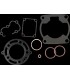 GASKET KIT T/E KX100 KX112 52.
