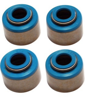 SEALS VITON VALVE 10PK