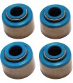 SEALS VITON VALVE 10PK