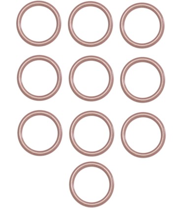 ORING DOWEL BASE 10PK