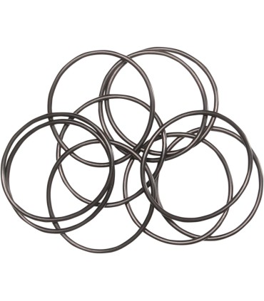 ORING OUTER OIL PUMP 10PK