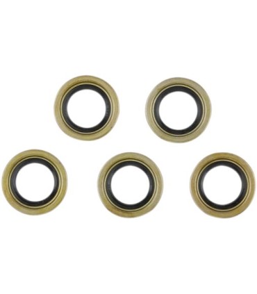 SEAL STARTER SHAFT 5PK