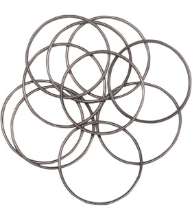 ORING INSPECTION CVR 10PK