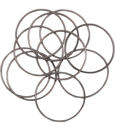 ORING INSPECTION CVR 10PK