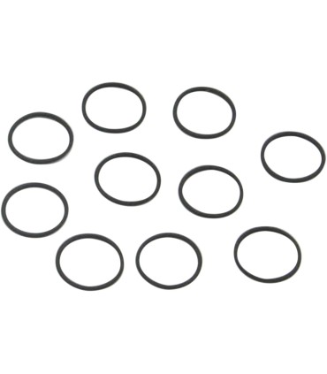 O-RING SET VITON 10PK