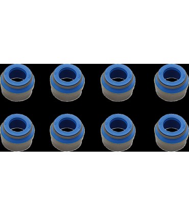 SEAL VLV GD 84-04 8PK