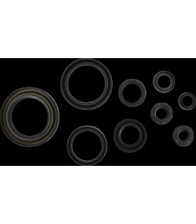 SEAL CRANKCASE OIL KIT TRX450R