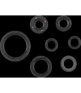 SEALS OIL KIT YFZ450R YZ450F W
