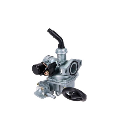 CARBURETOR PZ19