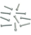 SCREW IDLE SPD 10PK