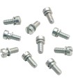 SCREW ACCL PMP CAP 10PK