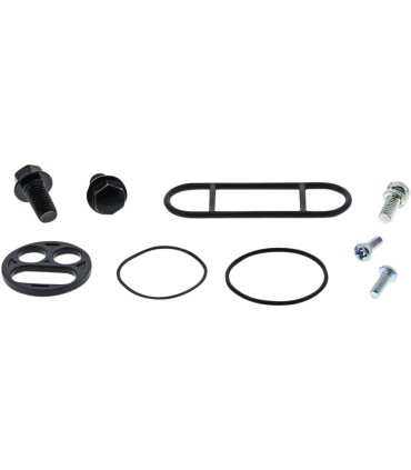 REBUILD KIT PETCOCK AC
