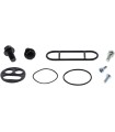 REBUILD KIT PETCOCK AC