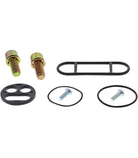 REBUILD KIT PETCOCK POL