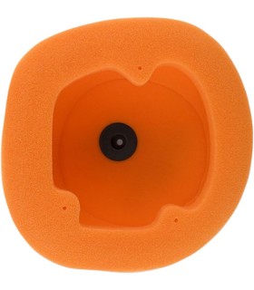 TWIN AIR FILTER BETA E250