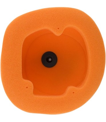 TWIN AIR FILTER BETA E250