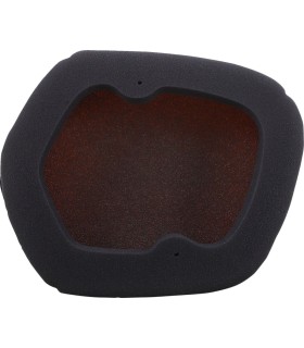 FILTER REPL. BACKFIRE