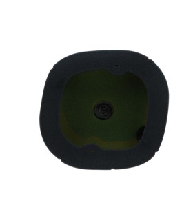 AIR FILTER PO TRIUMPH TF '24